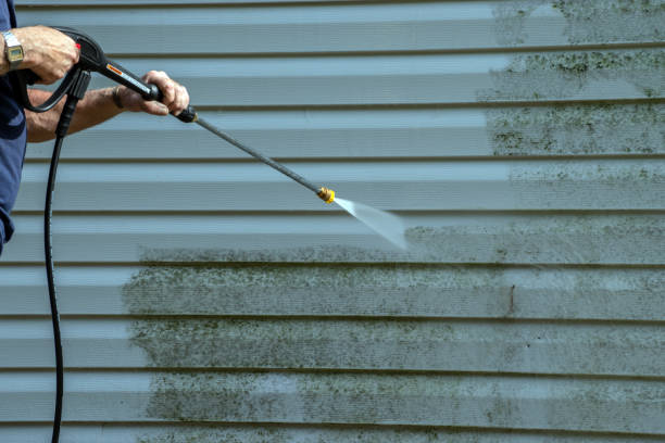 Why Choose Our Certified Pressure Washing Experts for Your Project Needs in Holiday, FL?